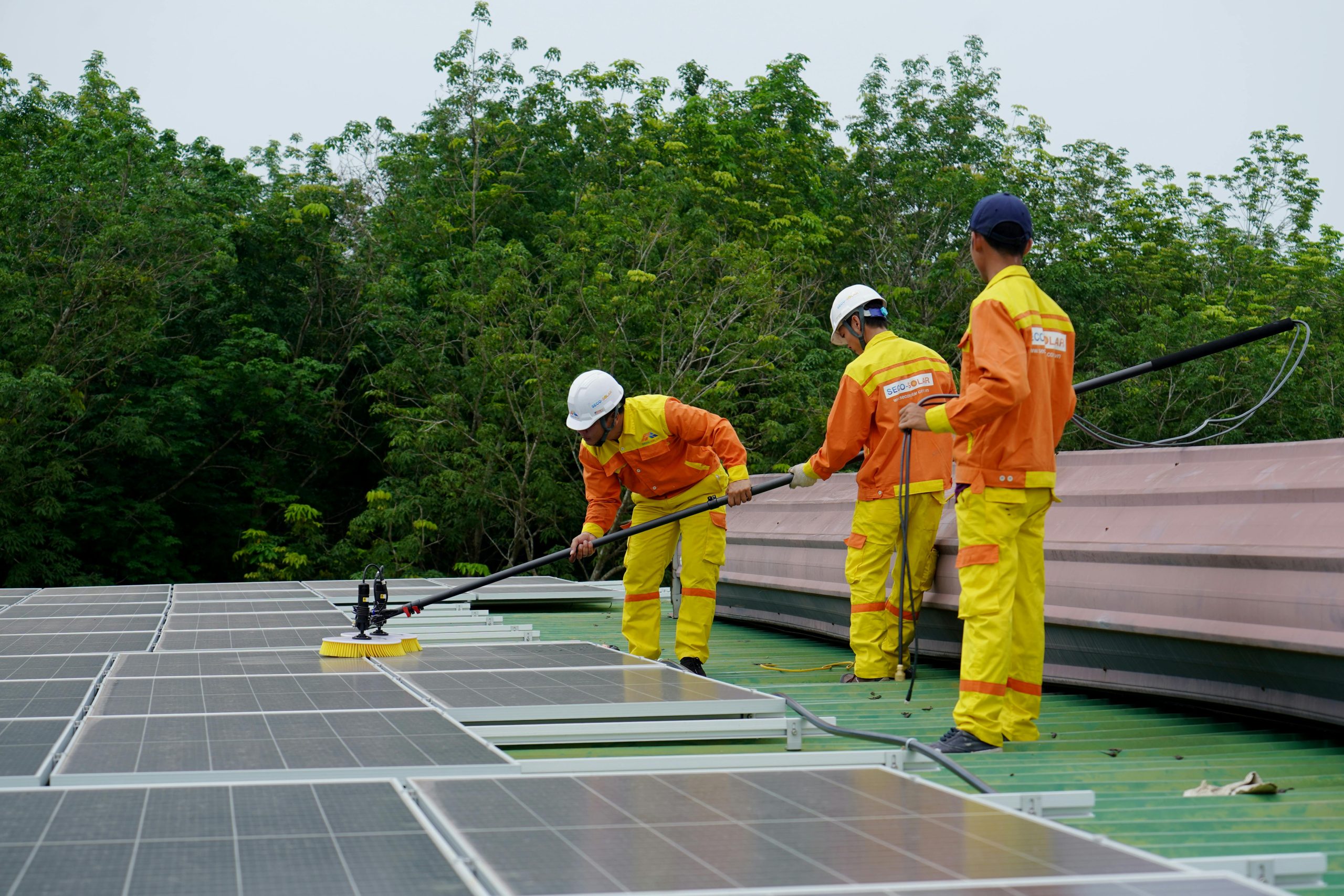 Surrely Solar Solutions enewable energy electrician solar sustainable energy Renewable Energy Electricians in Camberley Solar panel Installations in Alton Renewable Energy Electrician in Surrey Solar Installation in Alton